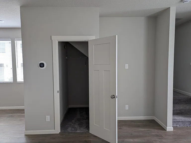 Harry Potter closet