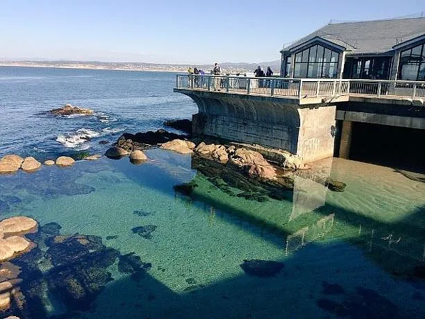 Amazing Monterey Bay Aquarium Vistas!