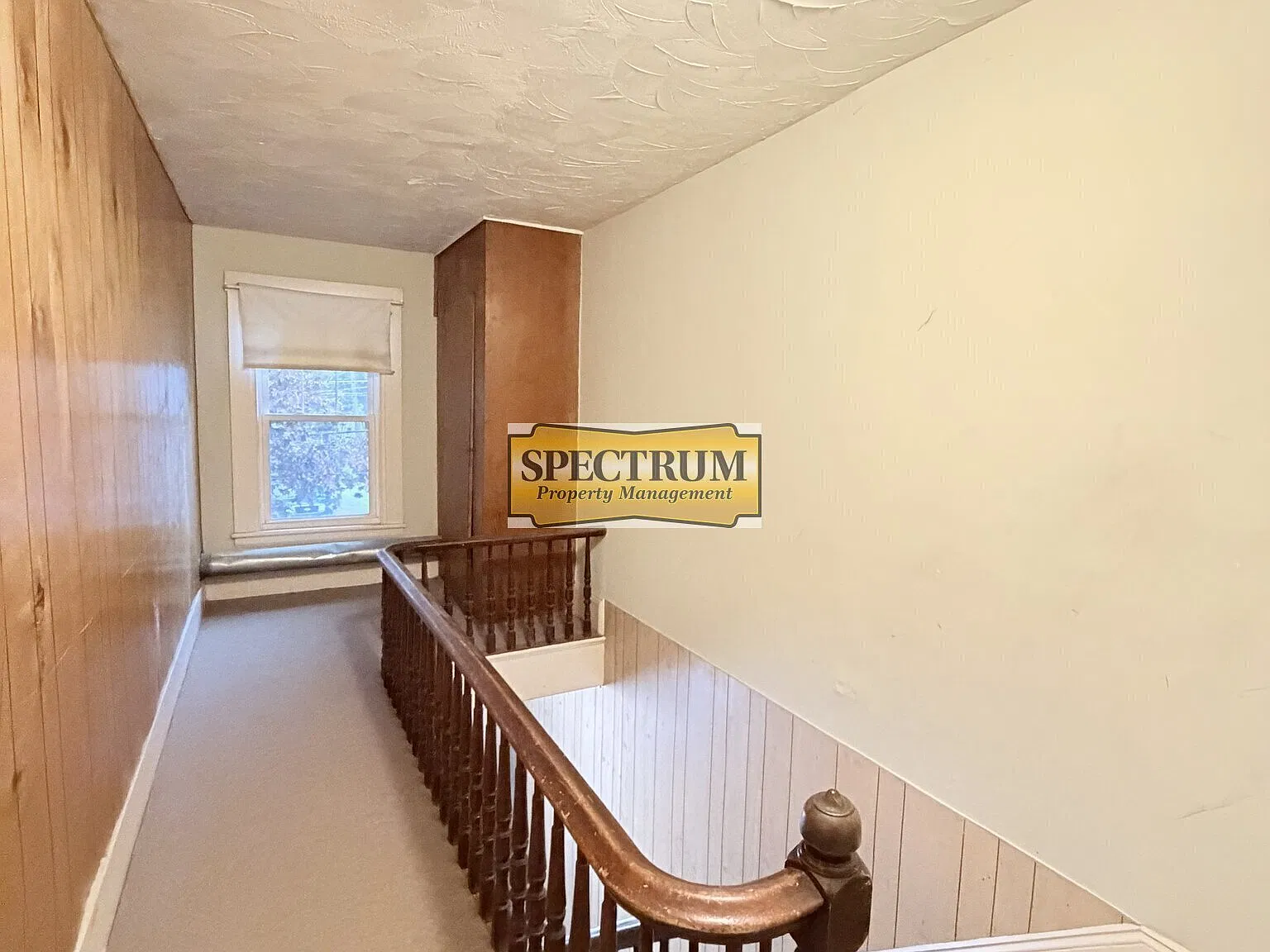 1 bed, $800 — Photo 2