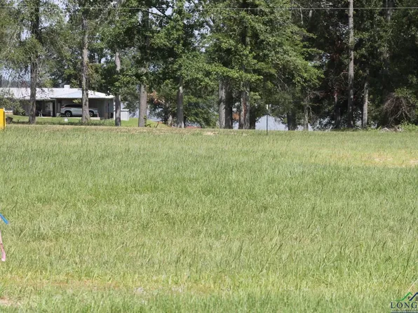 113 County Road 1902, Long Branch, TX 75669