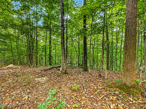4th image of 28 Timber Ridge Ln