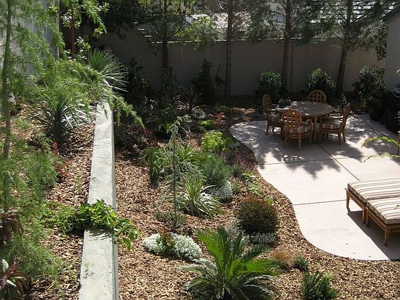 Low Maintenance Yard