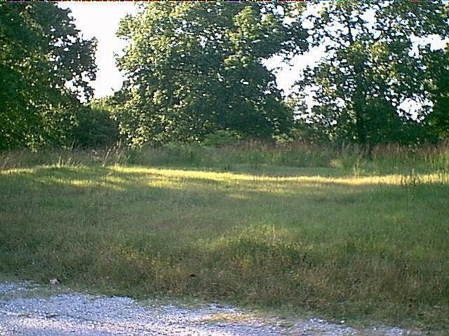 1st image of 24704 Dogwood Ln