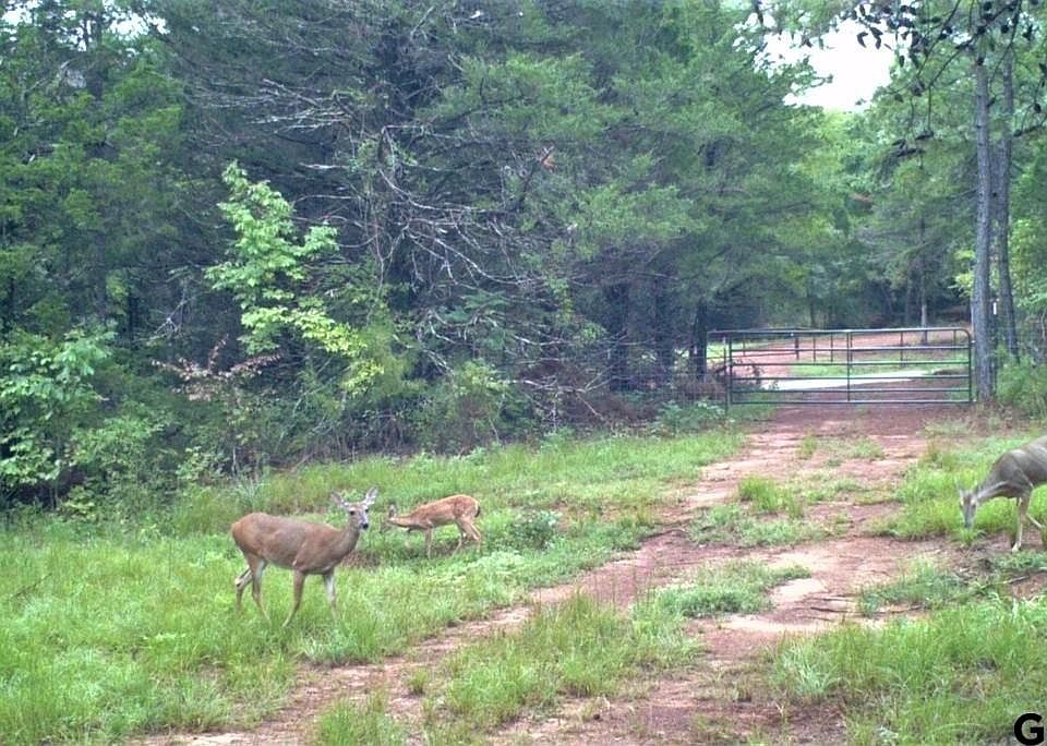 1st image of 18231 County Road 442