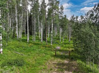 59395 Cripple Creek Ct, Clark, CO 80428