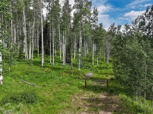 59395 Cripple Creek Ct, Clark, CO 80428