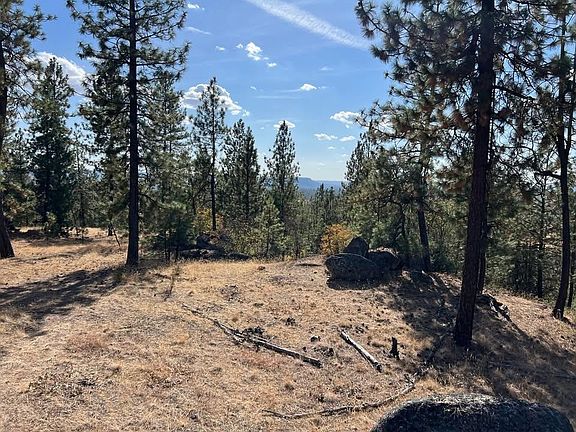 4th image of Corkscrew Canyon Rd Parcel B
