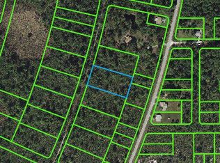 737 Dolphin AVENUE LOT 21, LAKE PLACID, FL 33852