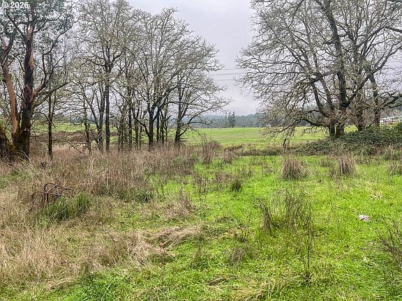 4th image of 1698 Doerner Rd