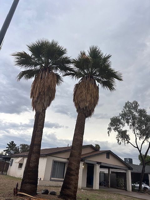 1st image of 2512 E Larkspur Dr