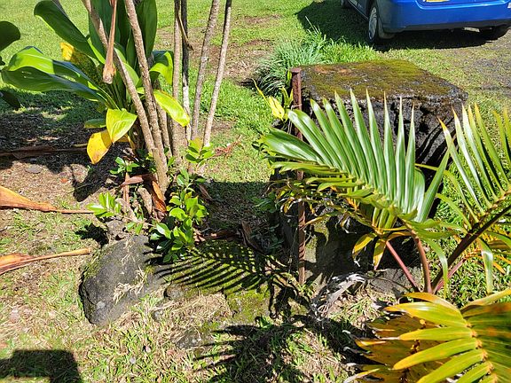 4th image of 16-2073 Lauhala Dr Lot 25