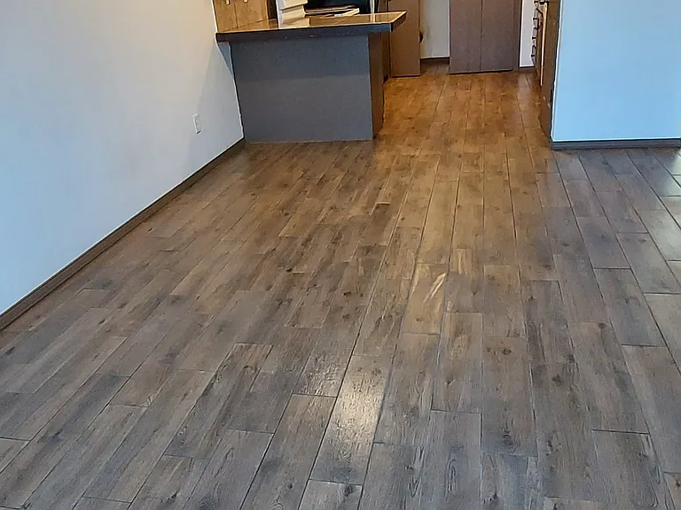 Living/dining room & kitchen