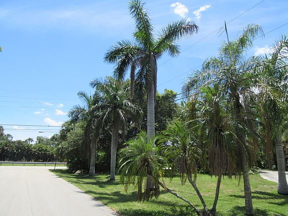 Exterior Neighborhood (street photo)