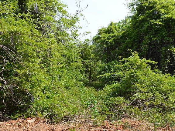 5th image of 0 Port Loga Vista Ln #6
