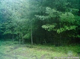 14 White Face Mountain Trl, East Jewett, NY 12424