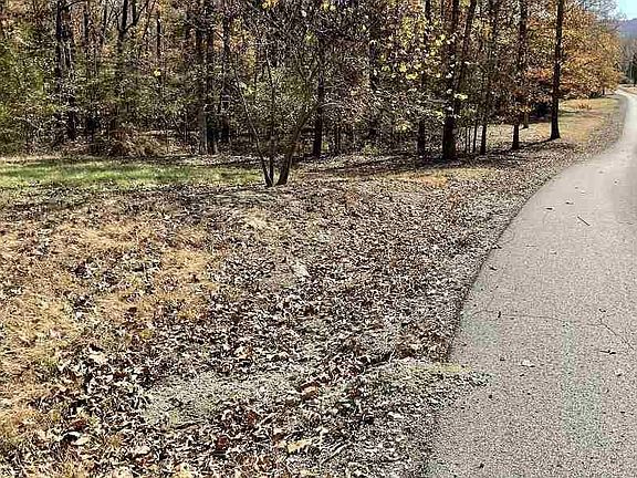 5th image of Buffalo Rapids Ln