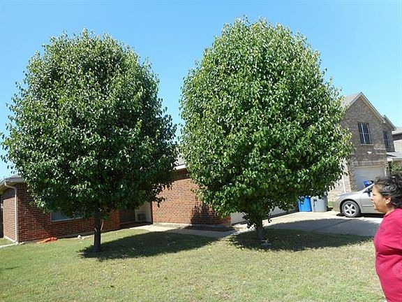 2nd image of 1351 Falcon Dr