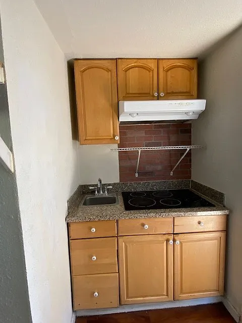 Studio, 375 sqft, $1,400 — Photo 3