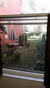 1 bed, 1.0 bath, 650 sqft, $1,000 — Photo 2