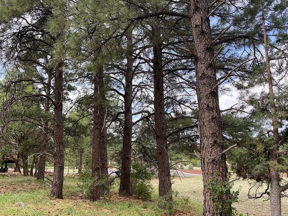 1st image of 953 S Cypress Poin Lot 208