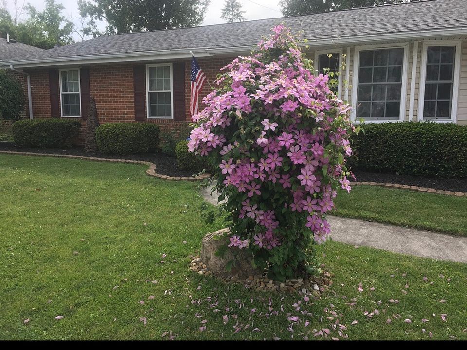 1st image of 715 Berkshire Dr