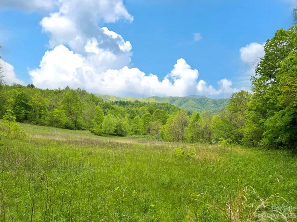 Baltimore Branch Rd, Hot Springs, NC 28743