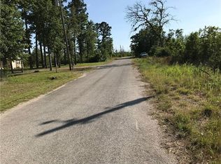 159 Cardinal Loop, Paige, TX 78659