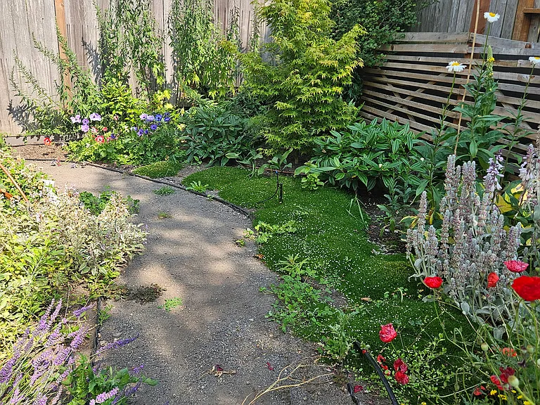 Walk along landscaped floral pathway to your own suite's private entrance.