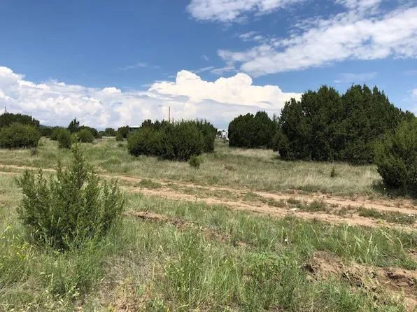 Storrie Ave, Las Vegas, NM 87701