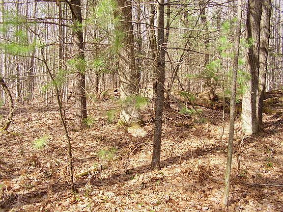5th image of Huron Forest Dr