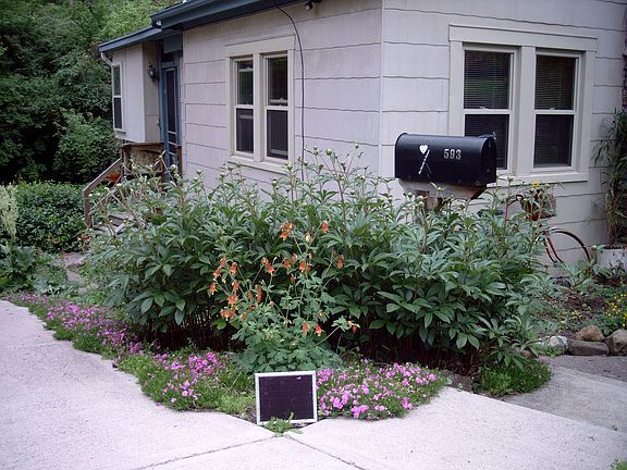 5th image of 593 McAlpin Ave