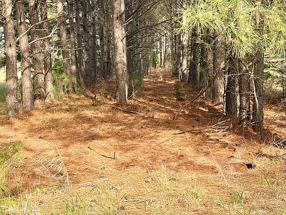5th image of Ragged Point Rd