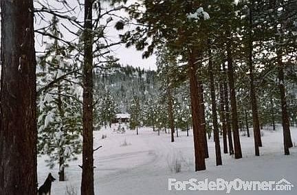 Looking south at house
						:
						Looking south at the house from the north property boundary.