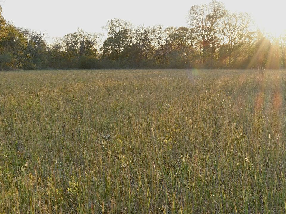 1st image of 0 Cedar Grove Rd