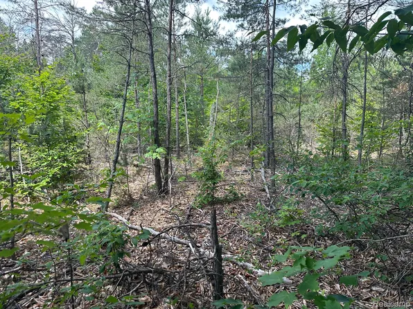 4425 Westwood Rd NE, Mancelona, MI 49659