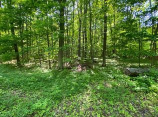 900 Ellinger Rd LOT 36, Alanson, MI 49706