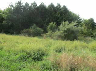 S State Line Rd, New Middletown, OH 44442