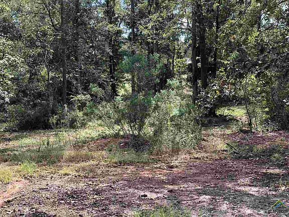 4th image of 3153 County Road 4705