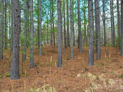 0 Clearwater Pkwy #14, Rutherfordton, NC, 28139