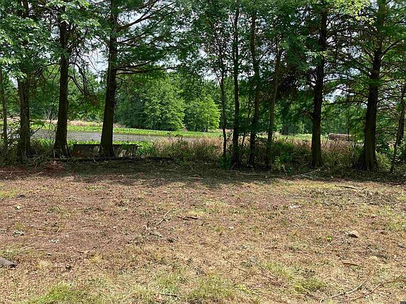 3rd image of Grays Camp Ln