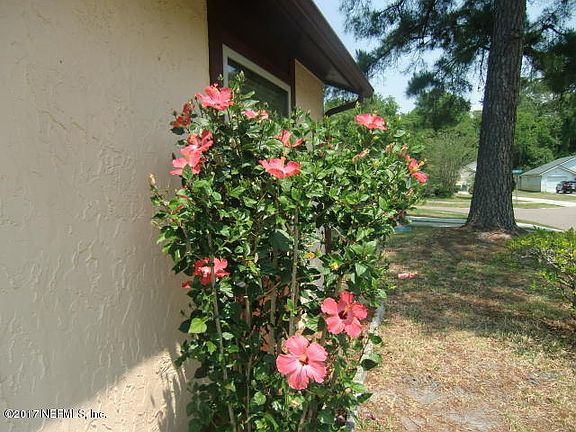 3rd image of 10711 Meadow Lea Dr