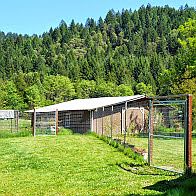 Barn and view