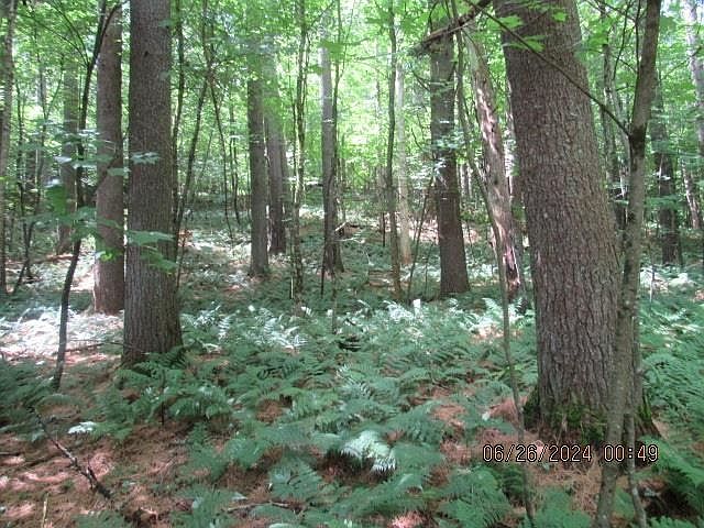 2nd image of Frenette Rd