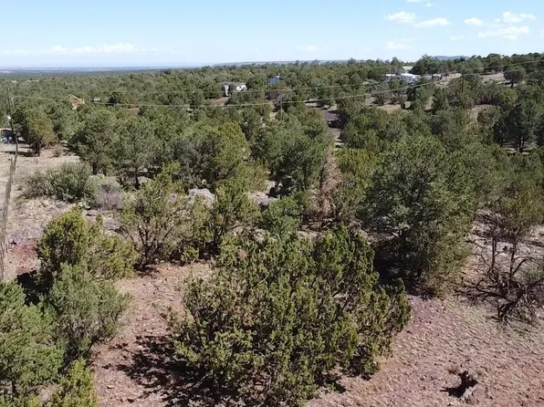 1665 W Maverick Ln, Williams, AZ 86046