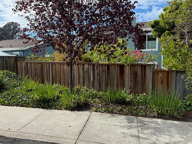 6104 Chateau Ct — Photo 42