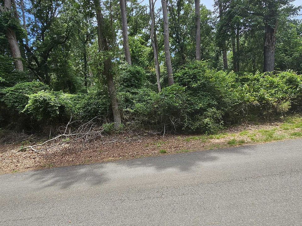 2nd image of LOT 36 Robin Cv