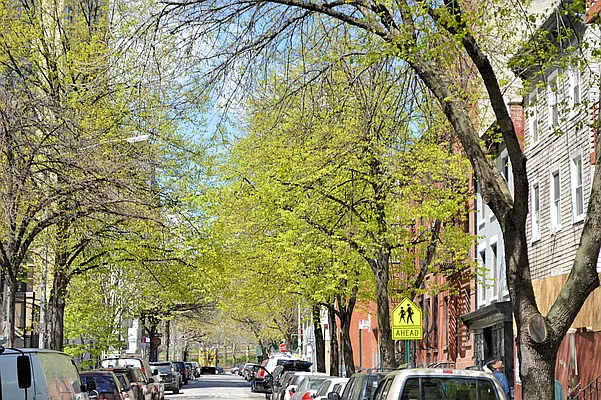 Rented by Bold New York | media 59