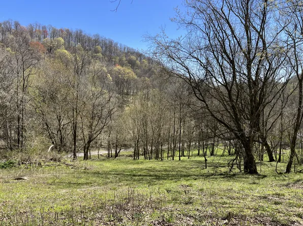167 Dillehay Hollow Rd, Pleasant Shade, TN 37145