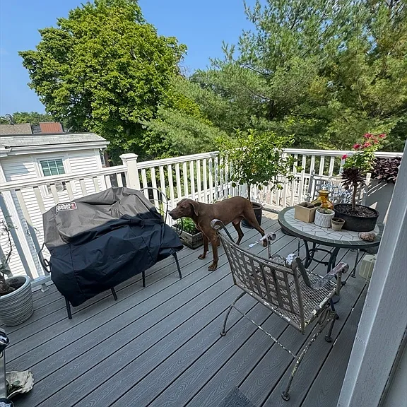 107 Bynner St #2 — Photo 20
