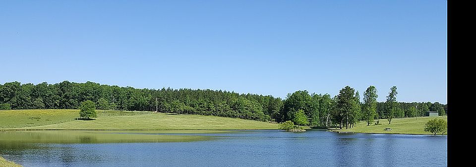 Private 11 acre, fully stock